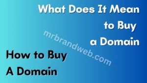 What does it mean to buy a domain