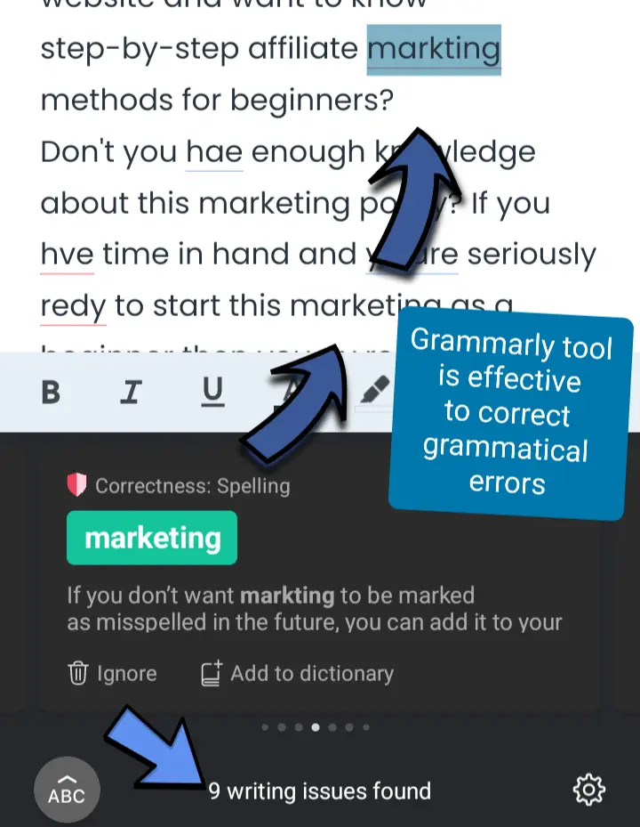 grammarly for the correction of grammatical errors