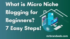 what is micro niche blogging