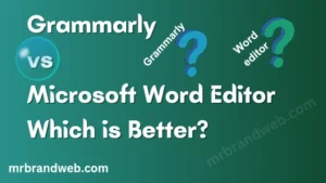 grammarly vs microsoft word editor